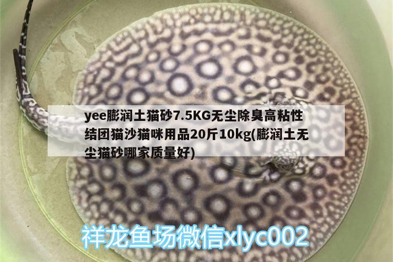 yee膨潤土貓砂7.5KG無塵除臭高粘性結(jié)團(tuán)貓沙貓咪用品20斤10kg(膨潤土無塵貓砂哪家質(zhì)量好) yee