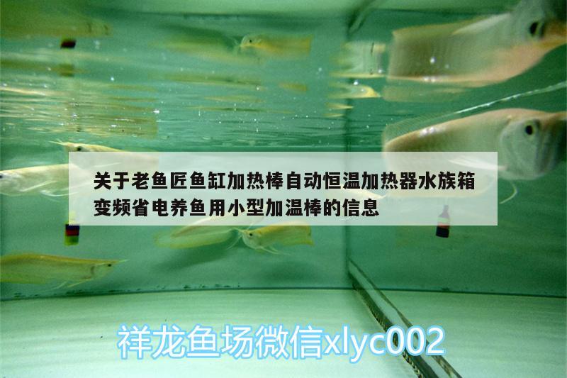 關(guān)于老魚匠魚缸加熱棒自動恒溫加熱器水族箱變頻省電養(yǎng)魚用小型加溫棒的信息 老魚匠