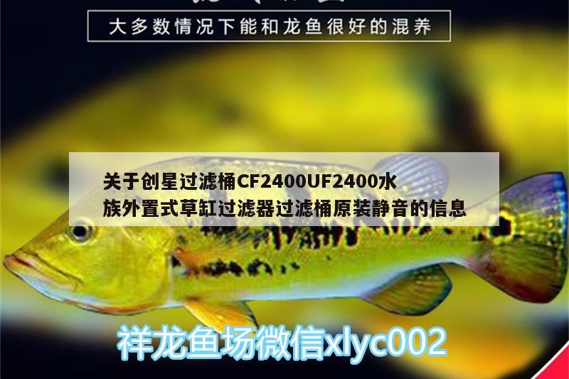 關(guān)于創(chuàng)星過濾桶CF2400UF2400水族外置式草缸過濾器過濾桶原裝靜音的信息 廣州水族器材濾材批發(fā)市場