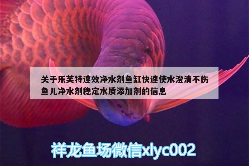 關(guān)于樂(lè)芙特速效凈水劑魚缸快速使水澄清不傷魚兒凈水劑穩(wěn)定水質(zhì)添加劑的信息