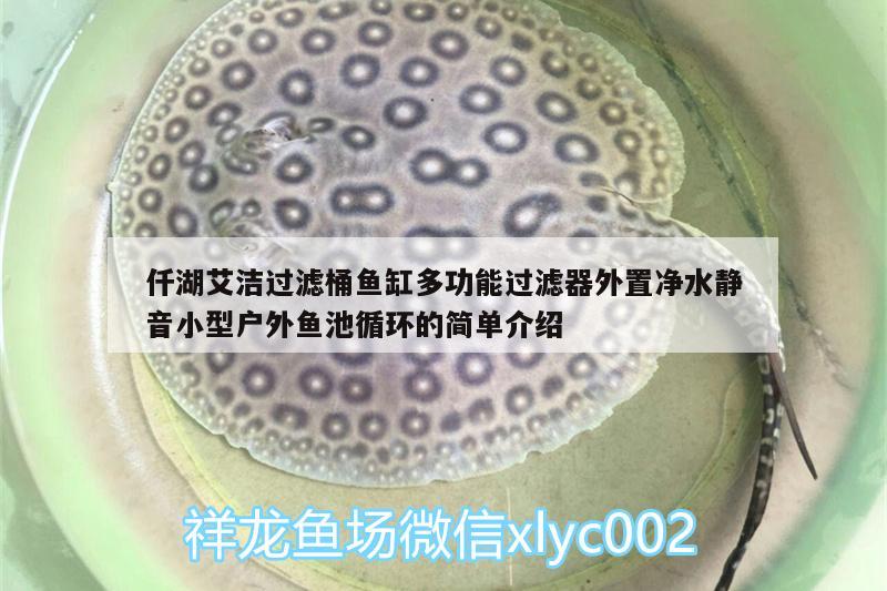 仟湖艾潔過濾桶魚缸多功能過濾器外置凈水靜音小型戶外魚池循環(huán)的簡單介紹