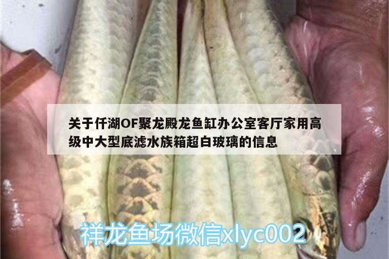 關(guān)于仟湖OF聚龍殿龍魚缸辦公室客廳家用高級(jí)中大型底濾水族箱超白玻璃的信息 仟湖