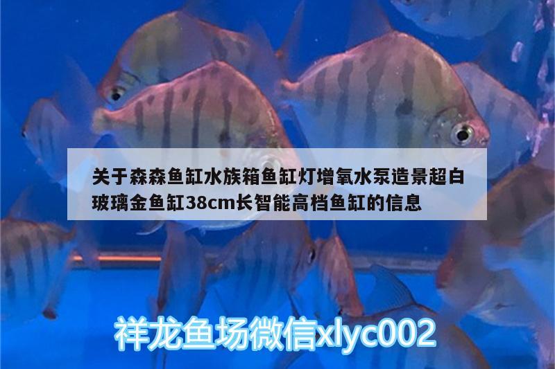 關(guān)于森森魚(yú)缸水族箱魚(yú)缸燈增氧水泵造景超白玻璃金魚(yú)缸38cm長(zhǎng)智能高檔魚(yú)缸的信息