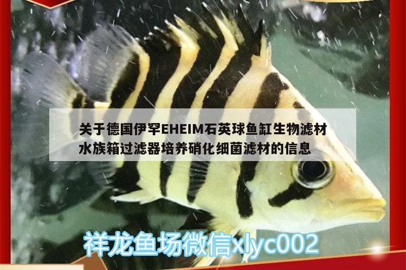 關(guān)于德國伊罕EHEIM石英球魚缸生物濾材水族箱過濾器培養(yǎng)硝化細(xì)菌濾材的信息 伊罕水族