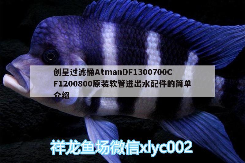 創(chuàng)星過濾桶AtmanDF1300700CF1200800原裝軟管進(jìn)出水配件的簡(jiǎn)單介紹