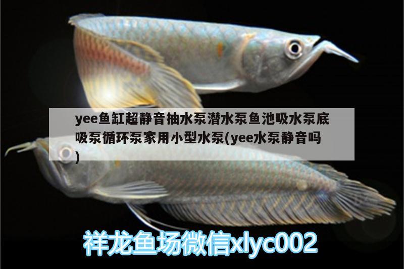 yee魚缸超靜音抽水泵潛水泵魚池吸水泵底吸泵循環(huán)泵家用小型水泵(yee水泵靜音嗎) yee