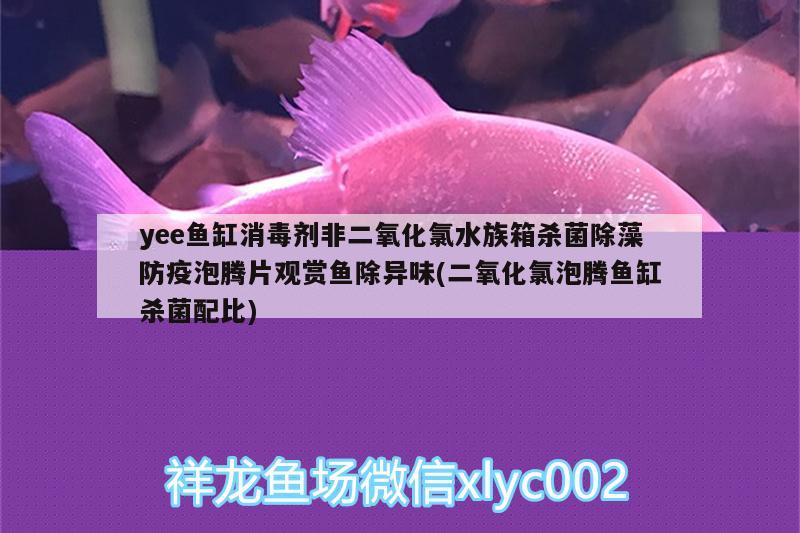 yee魚缸消毒劑非二氧化氯水族箱殺菌除藻防疫泡騰片觀賞魚除異味(二氧化氯泡騰魚缸殺菌配比) yee