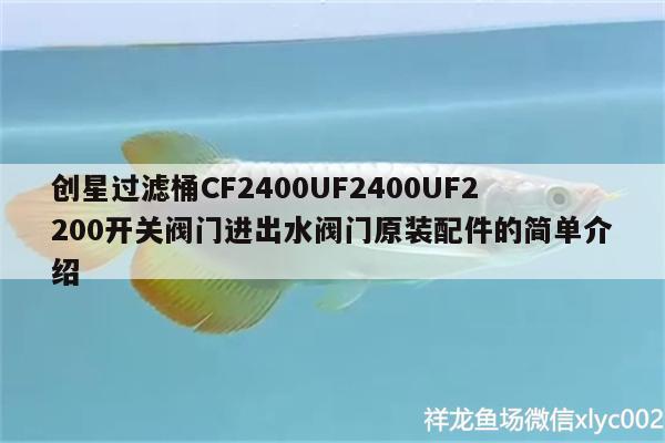 創(chuàng)星過濾桶CF2400UF2400UF2200開關(guān)閥門進出水閥門原裝配件的簡單介紹 廣州水族器材濾材批發(fā)市場