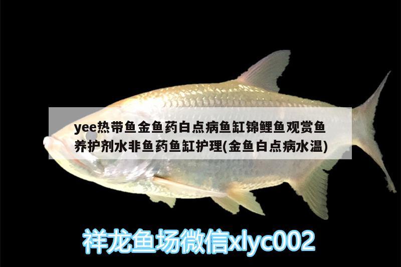 yee熱帶魚金魚藥白點(diǎn)病魚缸錦鯉魚觀賞魚養(yǎng)護(hù)劑水非魚藥魚缸護(hù)理(金魚白點(diǎn)病水溫) yee