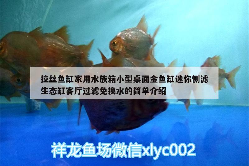 拉絲魚缸家用水族箱小型桌面金魚缸迷你側(cè)濾生態(tài)缸客廳過濾免換水的簡單介紹 魚缸/水族箱