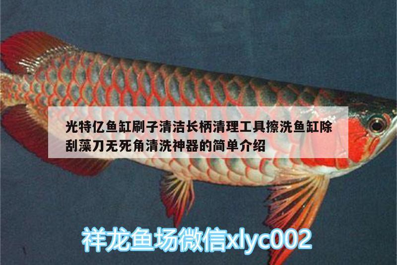 光特億魚缸刷子清潔長柄清理工具擦洗魚缸除刮藻刀無死角清洗神器的簡單介紹 光特億