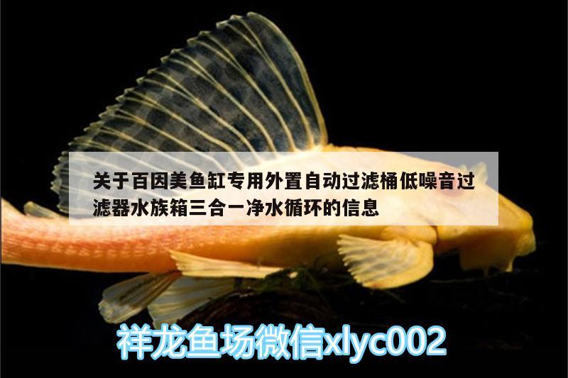 關(guān)于百因美魚缸專用外置自動過濾桶低噪音過濾器水族箱三合一凈水循環(huán)的信息 魚缸/水族箱