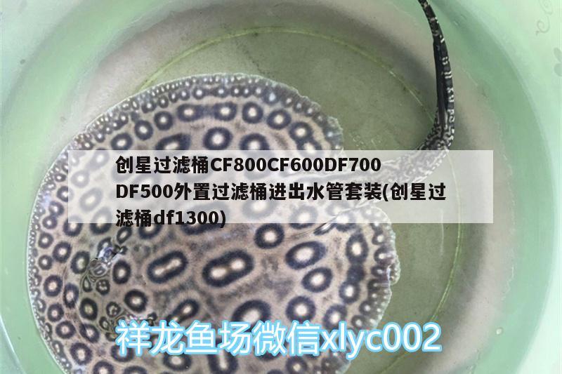 創(chuàng)星過濾桶CF800CF600DF700DF500外置過濾桶進出水管套裝(創(chuàng)星過濾桶df1300)