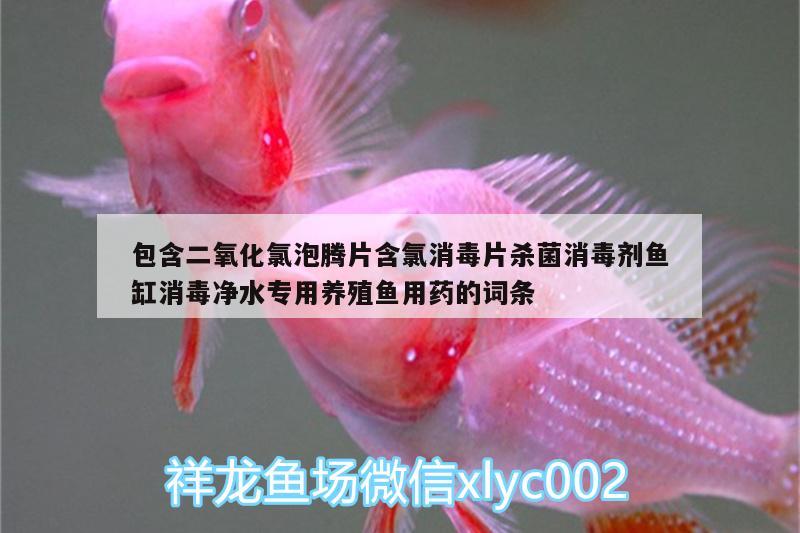 包含二氧化氯泡騰片含氯消毒片殺菌消毒劑魚缸消毒凈水專用養(yǎng)殖魚用藥的詞條 廣州水族器材濾材批發(fā)市場