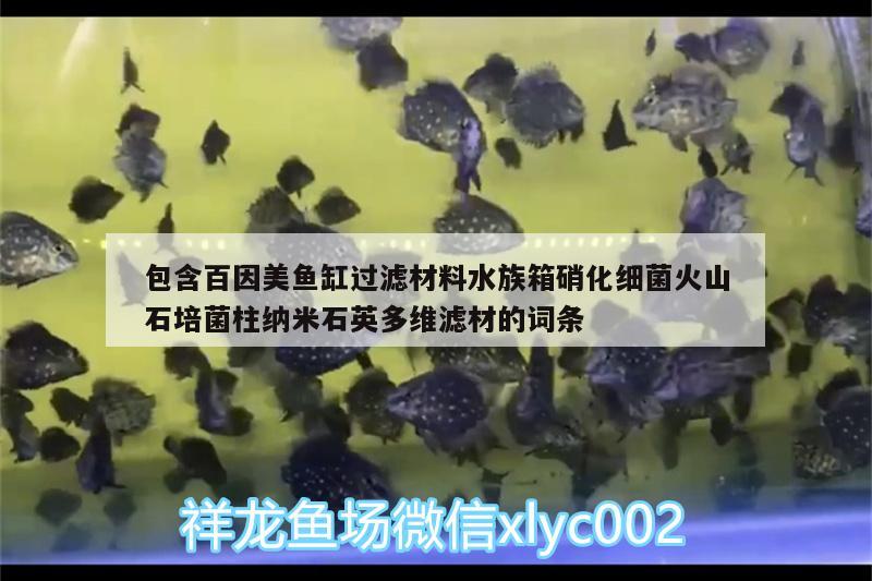 包含百因美魚缸過濾材料水族箱硝化細菌火山石培菌柱納米石英多維濾材的詞條