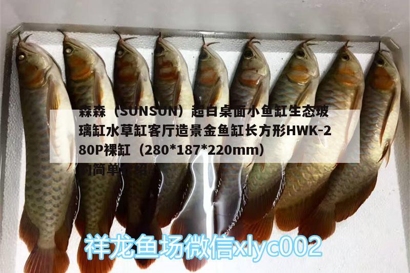 森森（SUNSUN）超白桌面小魚缸生態(tài)玻璃缸水草缸客廳造景金魚缸長方形HWK-280P裸缸（280 水草