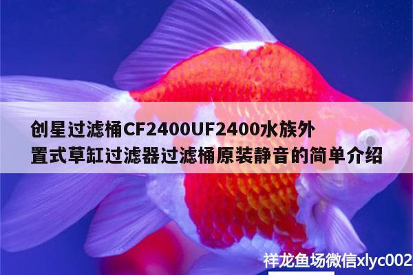 創(chuàng)星過濾桶CF2400UF2400水族外置式草缸過濾器過濾桶原裝靜音的簡(jiǎn)單介紹