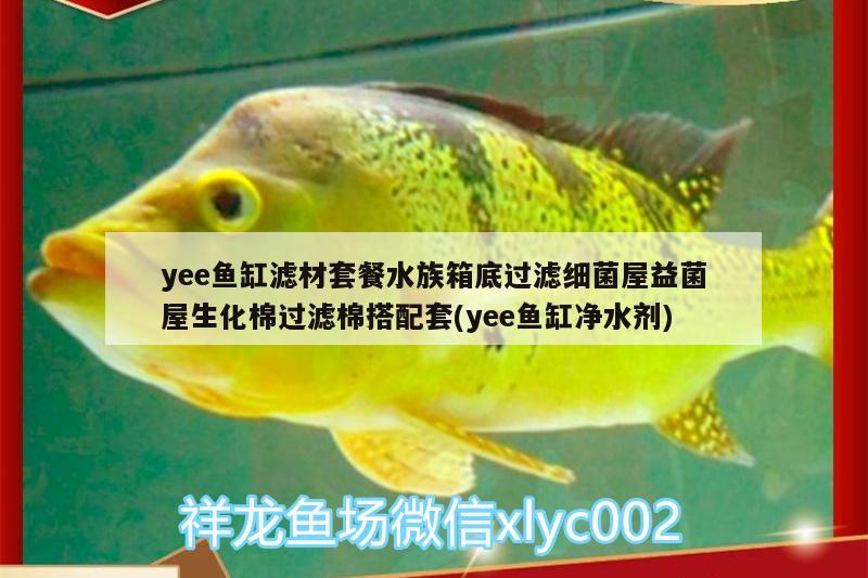 yee魚缸濾材套餐水族箱底過濾細菌屋益菌屋生化棉過濾棉搭配套(yee魚缸凈水劑) yee