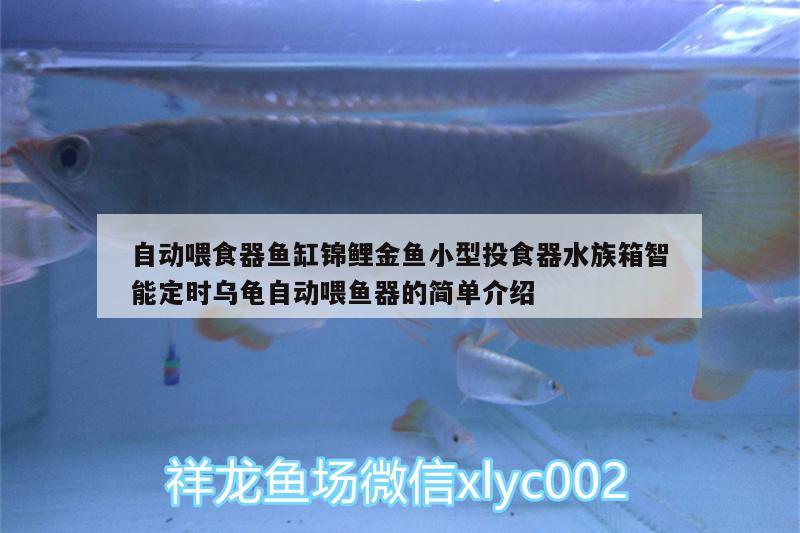 自動(dòng)喂食器魚缸錦鯉金魚小型投食器水族箱智能定時(shí)烏龜自動(dòng)喂魚器的簡(jiǎn)單介紹 烏龜