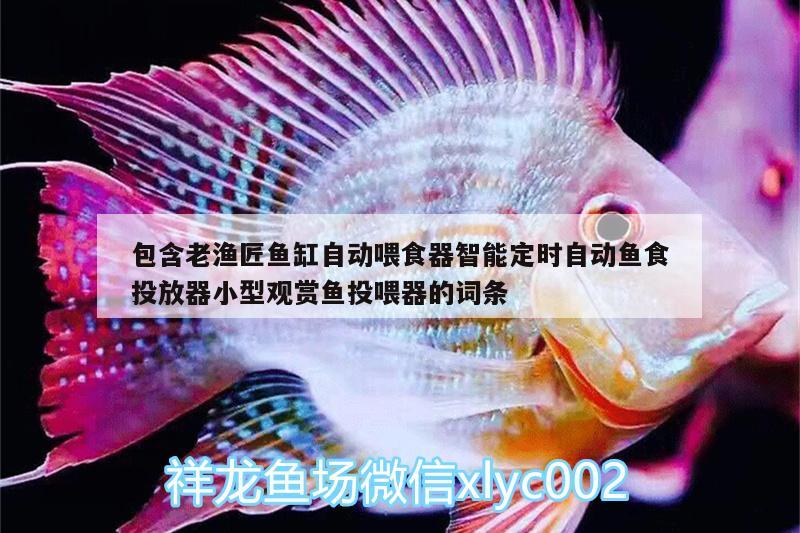 包含老漁匠魚缸自動喂食器智能定時自動魚食投放器小型觀賞魚投喂器的詞條 小型觀賞魚