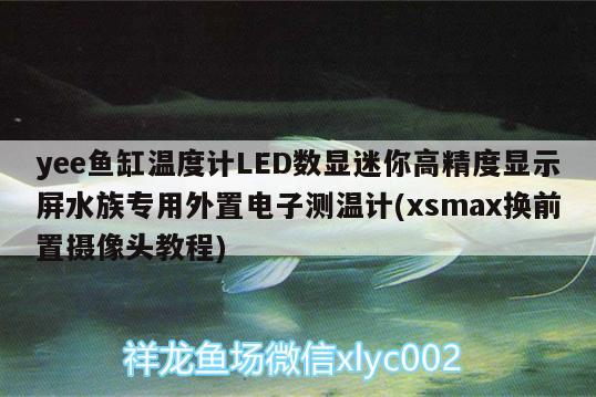 yee魚(yú)缸溫度計(jì)LED數(shù)顯迷你高精度顯示屏水族專(zhuān)用外置電子測(cè)溫計(jì)(xsmax換前置攝像頭教程)