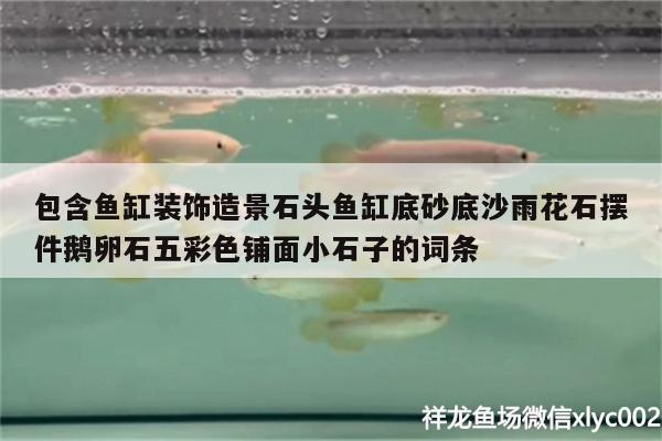 包含魚缸裝飾造景石頭魚缸底砂底沙雨花石擺件鵝卵石五彩色鋪面小石子的詞條 廣州水族器材濾材批發(fā)市場(chǎng)