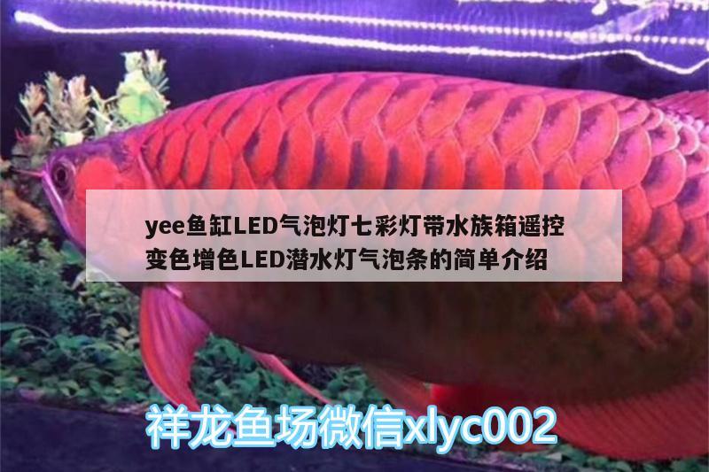 yee魚缸LED氣泡燈七彩燈帶水族箱遙控變色增色LED潛水燈氣泡條的簡單介紹 yee