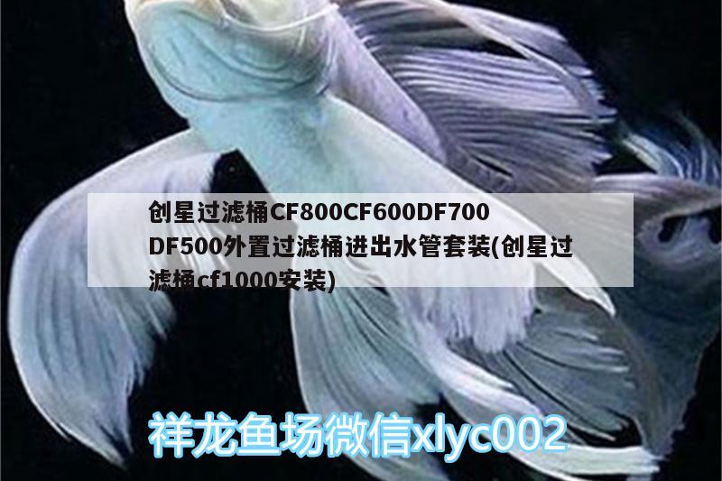 創(chuàng)星過濾桶CF800CF600DF700DF500外置過濾桶進出水管套裝(創(chuàng)星過濾桶cf1000安裝)