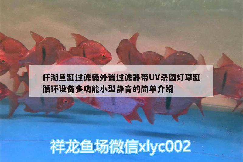 仟湖魚缸過濾桶外置過濾器帶UV殺菌燈草缸循環(huán)設(shè)備多功能小型靜音的簡單介紹 仟湖