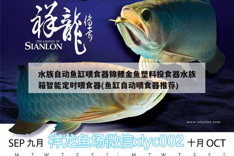 水族自動魚缸喂食器錦鯉金魚塑料投食器水族箱智能定時喂食器(魚缸自動喂食器推薦) 魚缸/水族箱