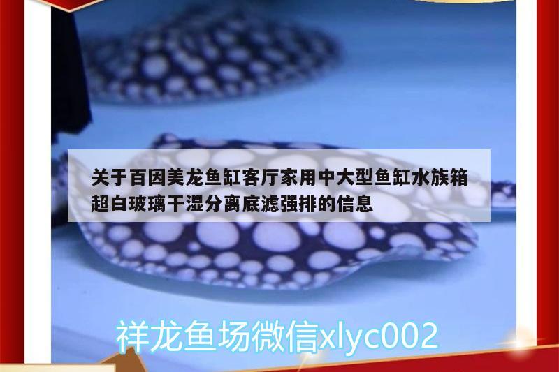 關于百因美龍魚缸客廳家用中大型魚缸水族箱超白玻璃干濕分離底濾強排的信息 魚缸/水族箱