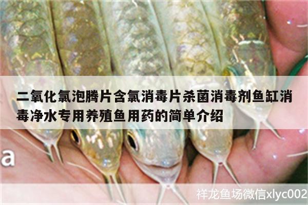 二氧化氯泡騰片含氯消毒片殺菌消毒劑魚缸消毒凈水專用養(yǎng)殖魚用藥的簡單介紹