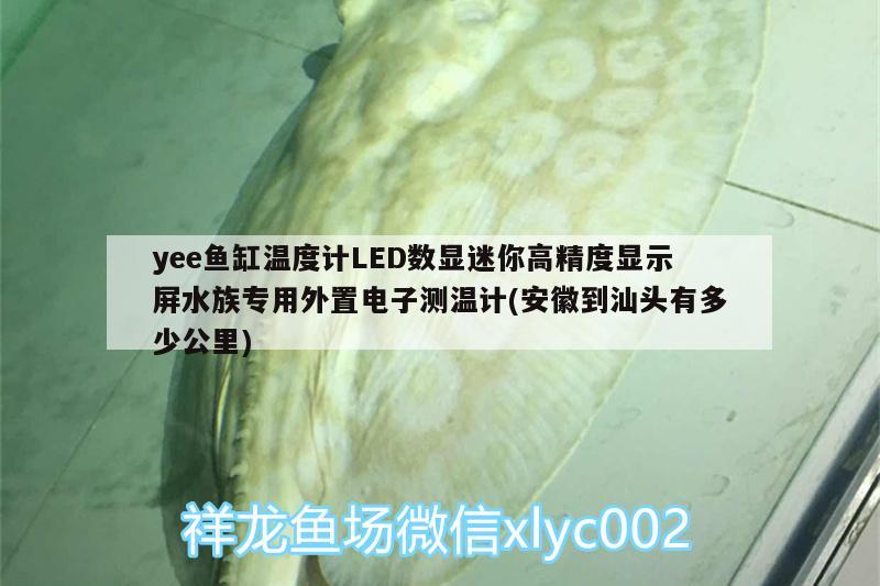 yee魚缸溫度計LED數(shù)顯迷你高精度顯示屏水族專用外置電子測溫計(安徽到汕頭有多少公里) yee