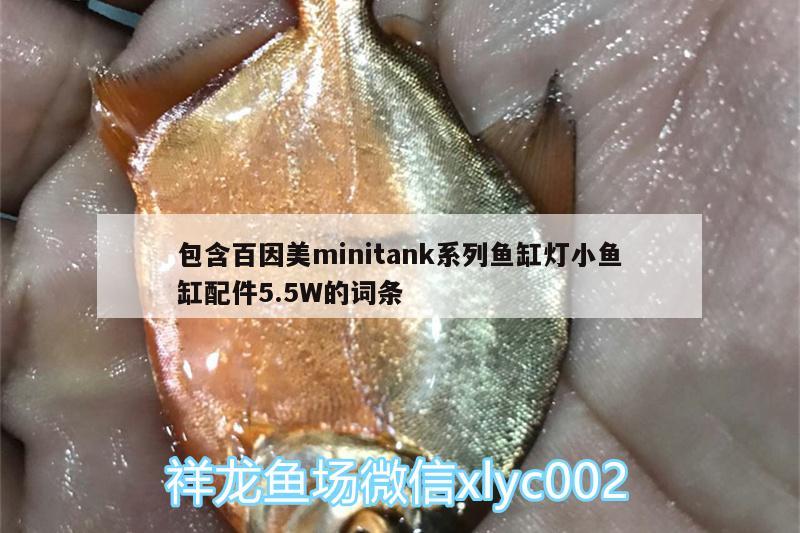 包含百因美m(xù)initank系列魚缸燈小魚缸配件5.5W的詞條