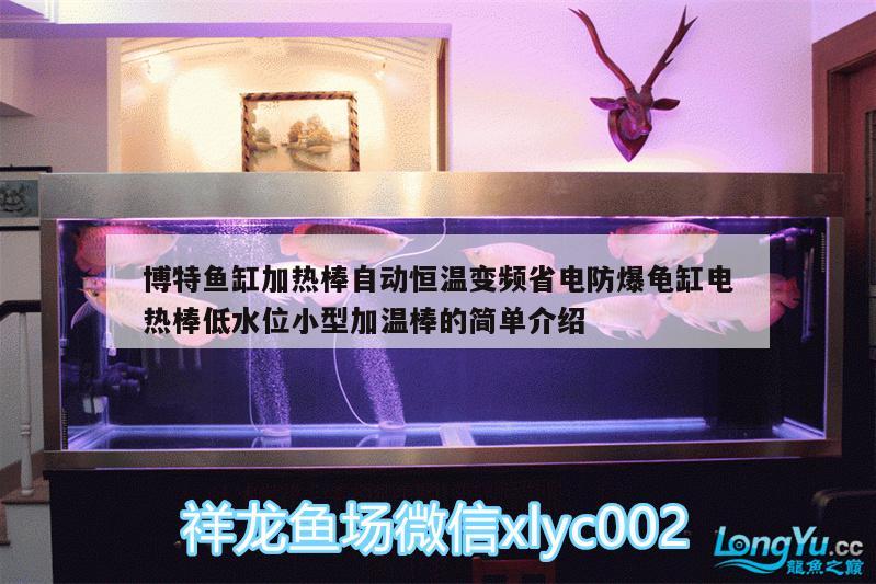 博特魚缸加熱棒自動(dòng)恒溫變頻省電防爆龜缸電熱棒低水位小型加溫棒的簡單介紹 烏龜