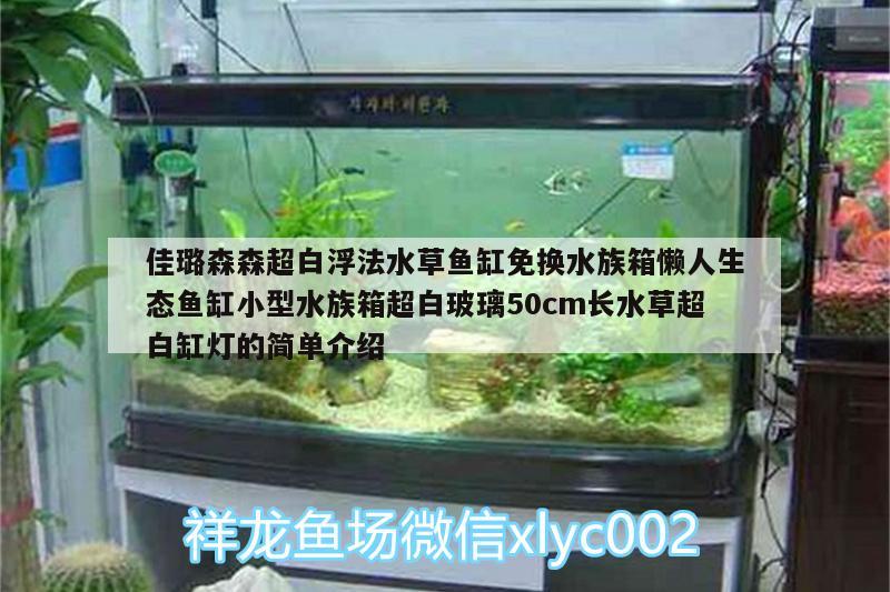 佳璐森森超白浮法水草魚缸免換水族箱懶人生態(tài)魚缸小型水族箱超白玻璃50cm長水草超白缸燈的簡單介紹 魚缸/水族箱