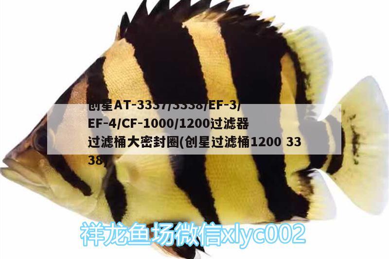 創(chuàng)星AT-3337/3338/EF-3/EF-4/CF-1000/1200過(guò)濾器過(guò)濾桶大密封圈(創(chuàng)星過(guò)濾桶12003338) 廣州水族器材濾材批發(fā)市場(chǎng)