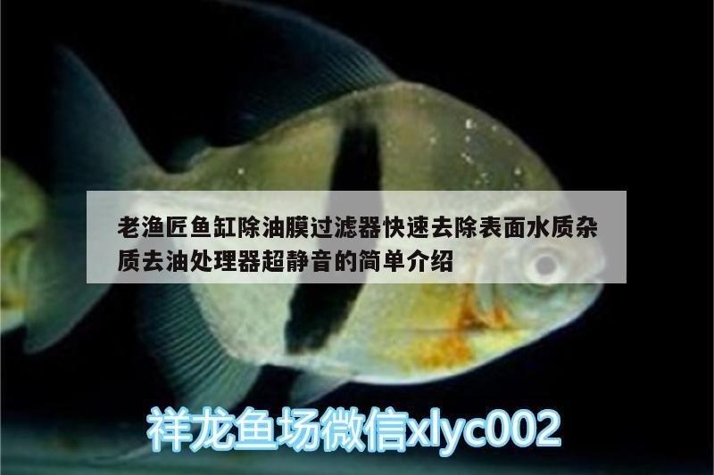 老漁匠魚缸除油膜過濾器快速去除表面水質(zhì)雜質(zhì)去油處理器超靜音的簡(jiǎn)單介紹