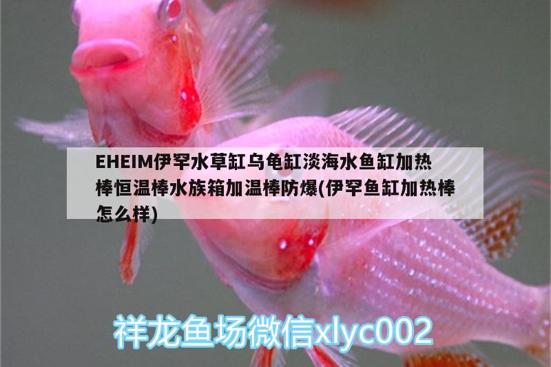 EHEIM伊罕水草缸烏龜缸淡海水魚缸加熱棒恒溫棒水族箱加溫棒防爆(伊罕魚缸加熱棒怎么樣) 烏龜