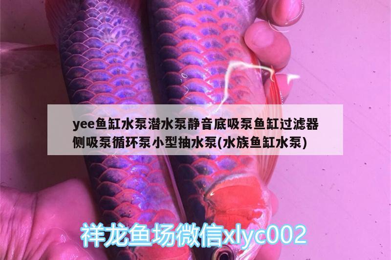 yee魚缸水泵潛水泵靜音底吸泵魚缸過濾器側吸泵循環(huán)泵小型抽水泵(水族魚缸水泵) yee