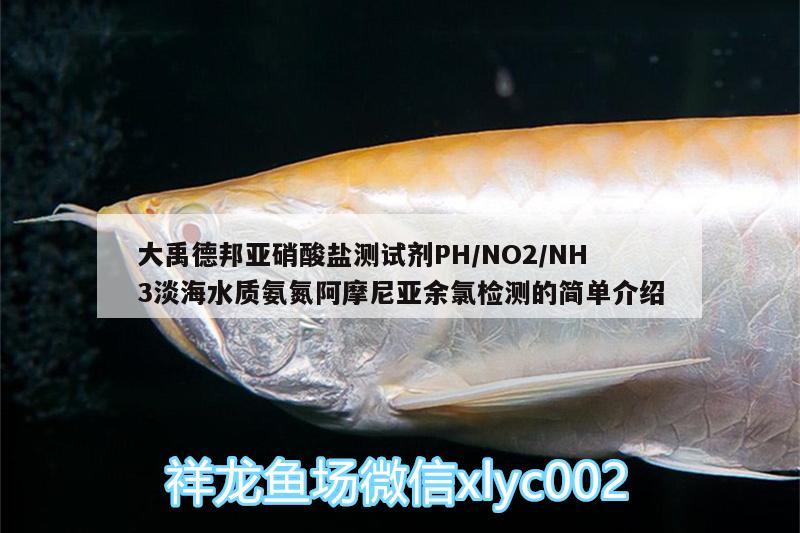 大禹德邦亞硝酸鹽測試劑PH/NO2/NH3淡海水質(zhì)氨氮阿摩尼亞余氯檢測的簡單介紹 廣州水族器材濾材批發(fā)市場