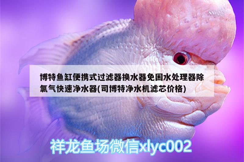 博特魚(yú)缸便攜式過(guò)濾器換水器免困水處理器除氯氣快速凈水器(司博特凈水機(jī)濾芯價(jià)格) 博特水族