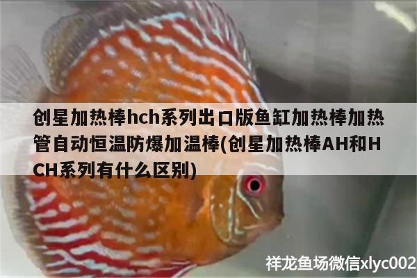 創(chuàng)星加熱棒hch系列出口版魚缸加熱棒加熱管自動恒溫防爆加溫棒(創(chuàng)星加熱棒AH和HCH系列有什么區(qū)別)