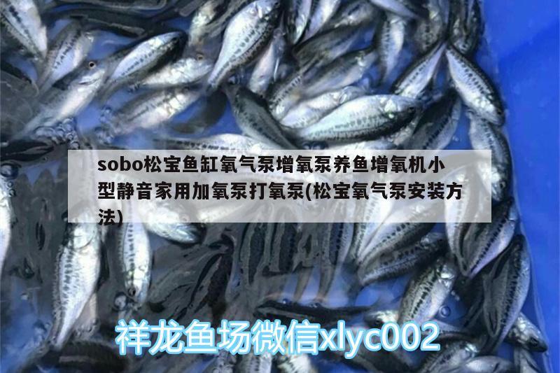 sobo松寶魚缸氧氣泵增氧泵養(yǎng)魚增氧機(jī)小型靜音家用加氧泵打氧泵(松寶氧氣泵安裝方法) 廣州水族器材濾材批發(fā)市場(chǎng)