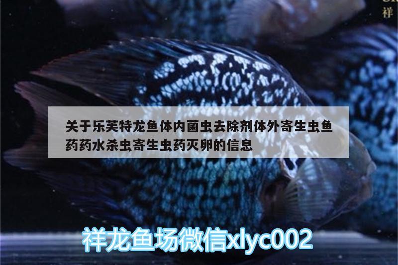 關于樂芙特龍魚體內菌蟲去除劑體外寄生蟲魚藥藥水殺蟲寄生蟲藥滅卵的信息