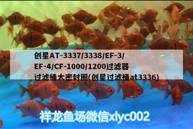 創(chuàng)星AT-3337/3338/EF-3/EF-4/CF-1000/1200過濾器過濾桶大密封圈(創(chuàng)星過濾桶at3336)