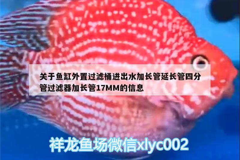 關于魚缸外置過濾桶進出水加長管延長管四分管過濾器加長管17MM的信息 廣州水族器材濾材批發(fā)市場 第2張