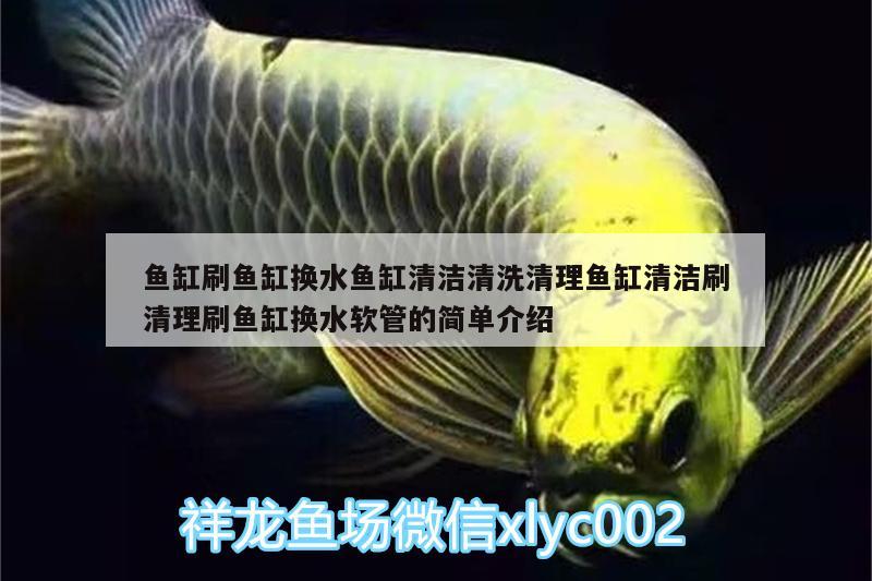 魚缸刷魚缸換水魚缸清潔清洗清理魚缸清潔刷清理刷魚缸換水軟管的簡單介紹 廣州水族器材濾材批發(fā)市場