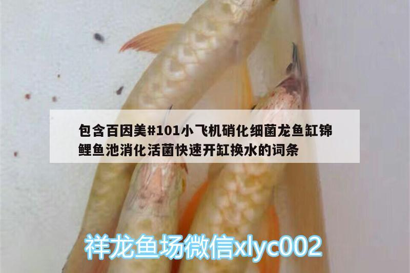 包含百因美#101小飛機硝化細菌龍魚缸錦鯉魚池消化活菌快速開缸換水的詞條