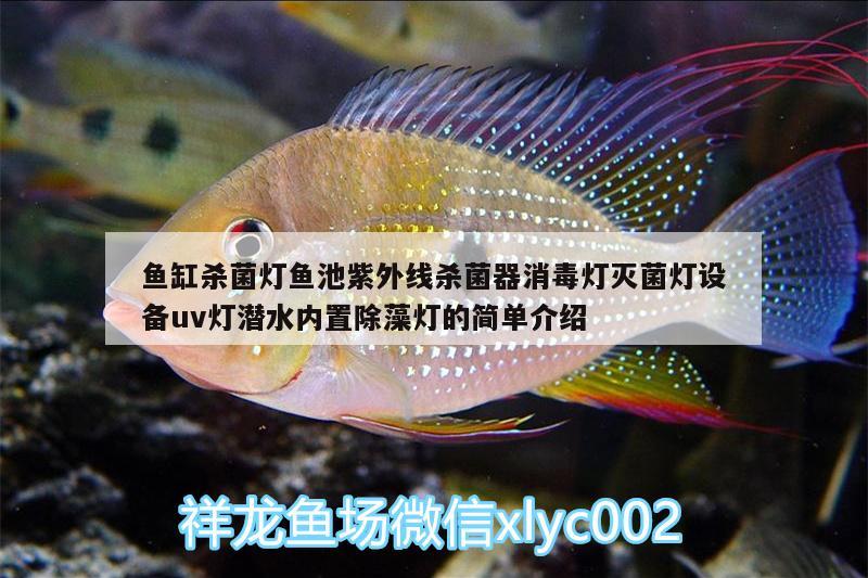 魚缸殺菌燈魚池紫外線殺菌器消毒燈滅菌燈設(shè)備uv燈潛水內(nèi)置除藻燈的簡單介紹